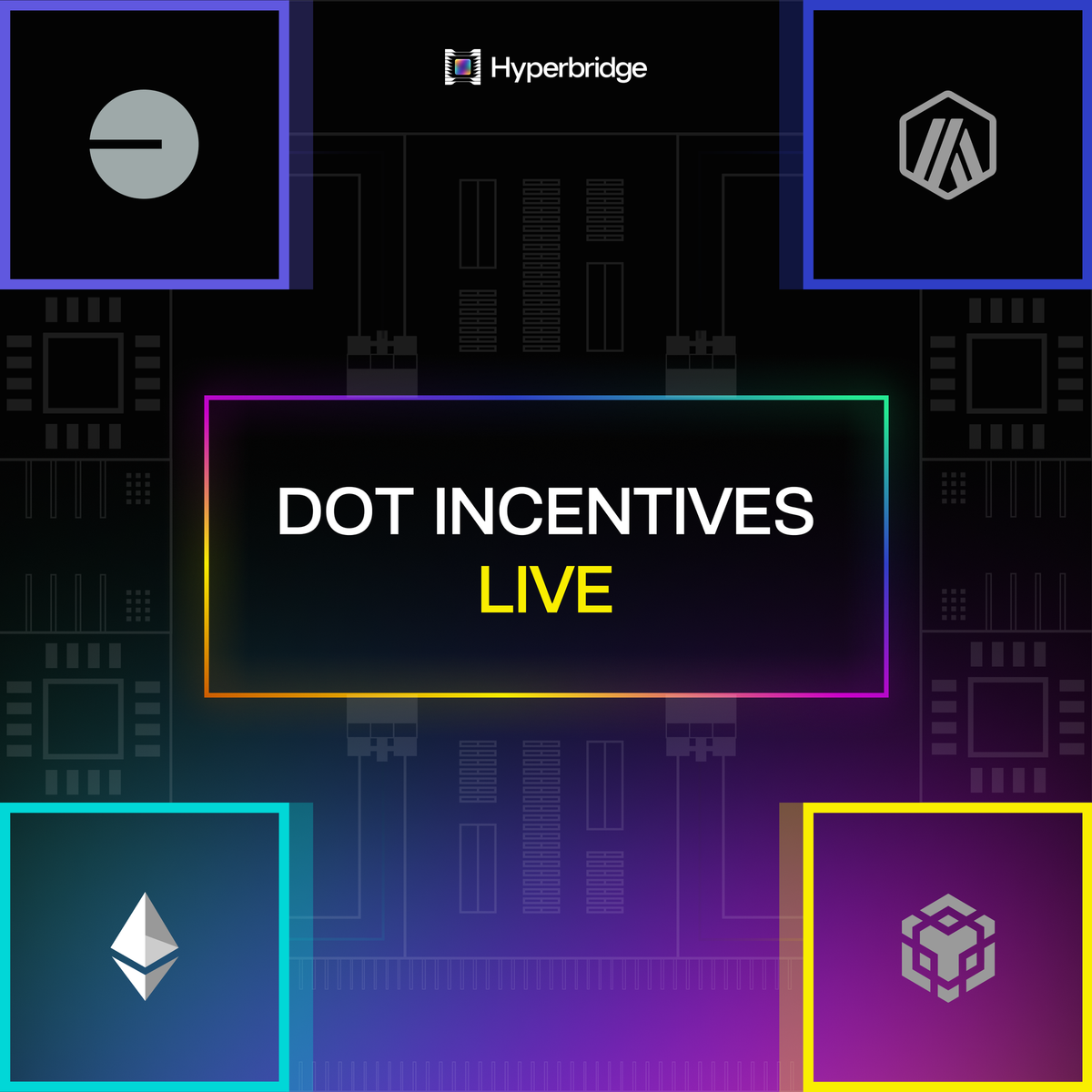 Hyperbridge Kicks Off 795,000 DOT Rewards Campaign for Polkadot’s DeFi Singularity